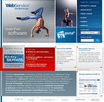 WebService - more than software