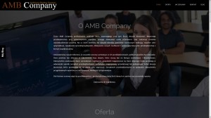 Ambcompany.eu - Analizowanie danych biznesowych