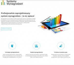 Systemywynagrodzen.com.pl