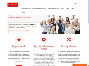 Agencja Ppcefekt.pl - linki sponsorowane