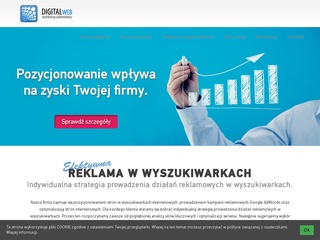 Audyt stron internetowych - digitalweb.pl