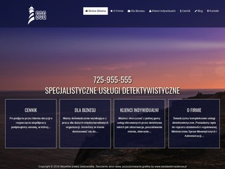 Pandetektyw.pl - Poszukiwania i ustalenia miejsca pobytu
