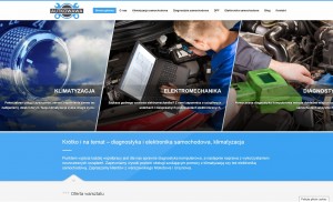 Diagnostyka i elektronika samochodowa Autkowawa - Mokotów, Usrynów