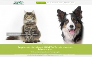 www.weterynarz-torun.com.pl