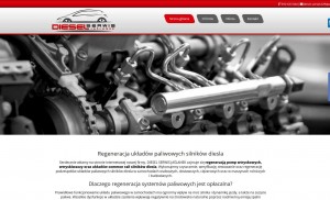 www.dieselserwisjaslanek.pl