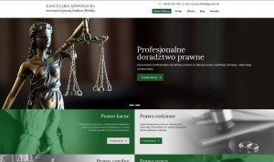 adwokat-plonsk.pl