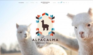 alpacalma.pl - Kołdry z wełny alpaki - producent