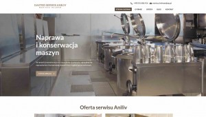 gastroserwis-aniliv.pl