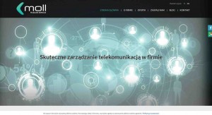 Innowacyjna Telekomunikacja - moll.com.pl