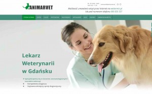 aparat na zęby pies gdańsk - animarvet.pl