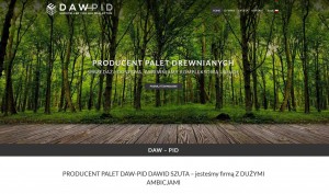 palety CP producent - daw-pid.com.pl
