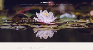 Systemica® - ustawienia systemowe