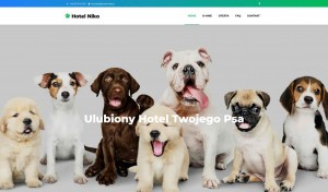Szkolenie psów | Hotel dla zwierząt