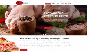 kaczka Barbarie hurt hurtowniaeureka.pl