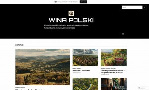winapolski.wordpress.com - Blog o polskich winach i winnicach