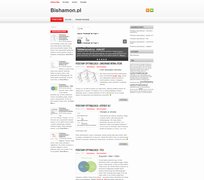 Bishamon.pl - optymalizacja, pozycjonowanie i marketing online
