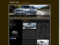 BWM CARS Diagnostyka BMW