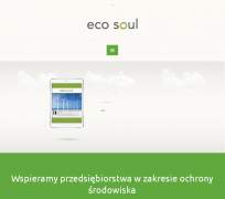 Ecosoul.pl - Audyt ekologicny