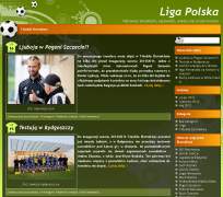Liga polska