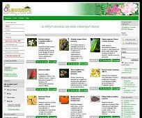 Nasiona i sadzonki egzotyczne - Oleander