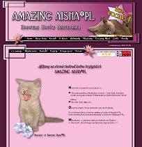 Koty Brytyjskie AMAZING AISHA*PL - Hodowla Kotów Rasowych
