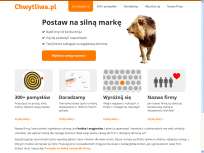 Chwytliwa.pl - Nazwa własnej firmy, dobra i wolna