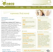 itBCG - IT Business Consulting Group